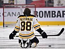 David Pastrák z Boston Bruins se protahuje.