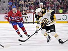 David Pastrák (88) z Boston Bruins útoí v zápase s Montreal Canadiens.
