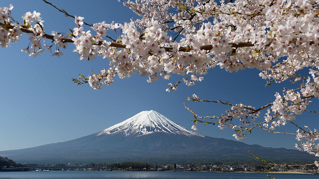 Jaro v Japonsku. Výhled na tamní nejvyí horu Fudi pekrývají kvetoucí...