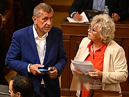 Poslankyn za ANO a stínová ministryn zemdlství Margita Balatíková s...