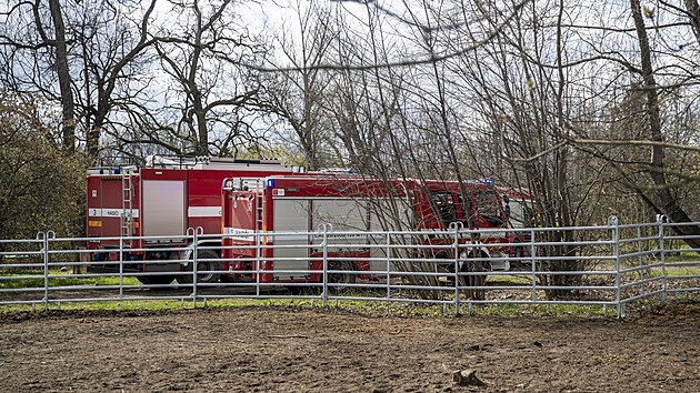 Na C�sa�sk�m ostrov� v Praze kolem poledne ho�ely st�je jezdeck� �koly. (11. dubna 2023)