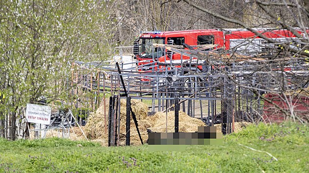 Na C�sa�sk�m ostrov� v Praze kolem poledne ho�ely st�je jezdeck� �koly. (11. dubna 2023)