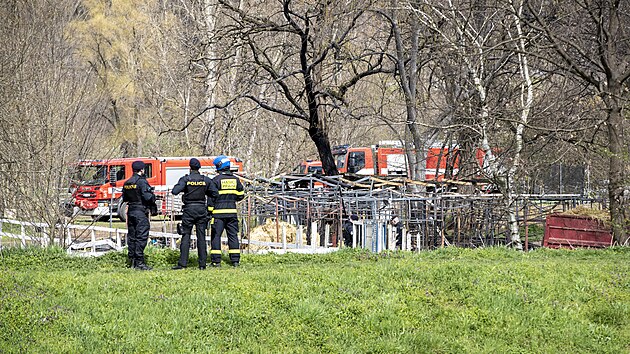 Na C�sa�sk�m ostrov� v Praze kolem poledne ho�ely st�je jezdeck� �koly. (11. dubna 2023)