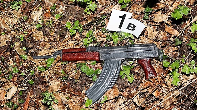 Podle policist� pades�tilet� �to�n�k v Bo�kov� po h�dce napadl sedma�ty�icetiletou p��telkyni, kterou bodl �roubov�kem do ruky a do krku. Ta p�ed n�m utekla do prvn�ho patra, kde se s ostatn�mi �leny rodiny schovala. Mu� ode�el p�ed d�m, kde si vzal ze sv�ho auta samopal vzor 58 a s n� se vr�til do domu.