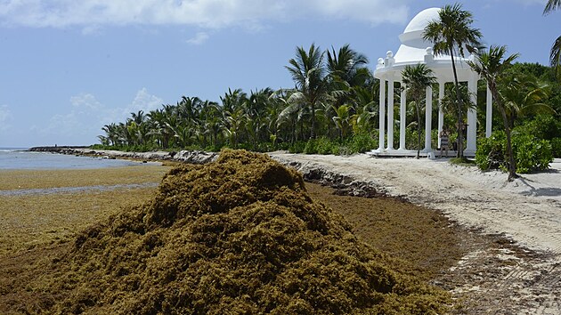 Takhle si dovolenou na pl��ch v Canc�nu asi v�t�ina turist� nep�edstavuje.