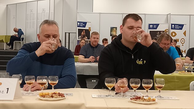 Degustace na Pivnm festivalu v Litomicch (duben 2023)