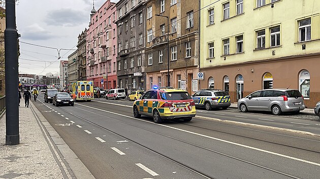 Splaen kon zpacifikovala jzdn policie a vozku, kter zkolaboval, si odvezla zchranka. (13. dubna 2023)