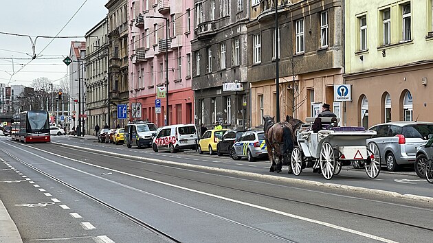 Splaen kon zpacifikovala jzdn policie a vozku, kter zkolaboval, si odvezla zchranka. (13. dubna 2023)