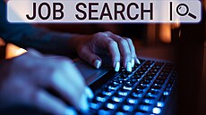 hledání práce