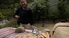 Specialistka na péi o divokou zv v zoo v San Diegu Lauren Credidiová...