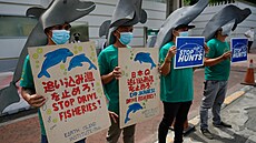 Demonstranti s epicemi s delfíny drí hesla bhem shromádní ped japonským...