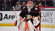 Luká Dostál v brán Anaheim Ducks