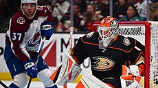 Luká Dostál v brán Anaheim Ducks v zápase s Colorado Avalanche