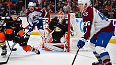 Luká Dostál v brán Anaheim Ducks v zápase s Colorado Avalanche, vpravo Mikko...