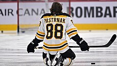 David Pastrák z Boston Bruins se protahuje.