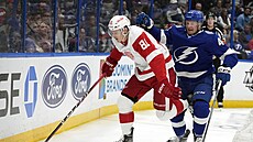 Dominik Kubalík (81) z Detroit Red Wings v zápase s Tampa Bay Lightning, brání...