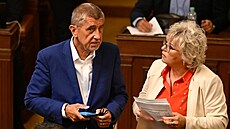 Poslankyn za ANO a stínová ministryn zemdlství Margita Balatíková s...