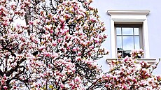 Jarní okam�iky zachytíte do posledního detailu s novým smartphonem vivo X90 Pro...