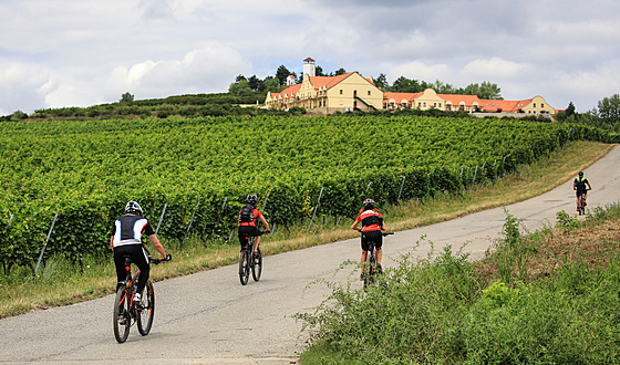 Turisté vyhledávají napíklad cesty na kolech kolem Zajeí na Beclavsku.