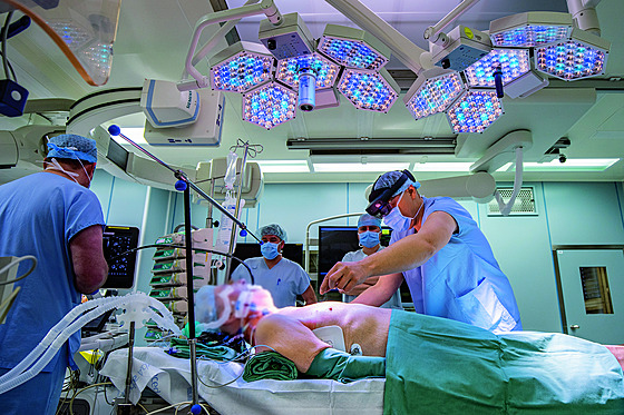 Technika transplantace slinivky se v prbhu 40 let výrazn promnila a posunula kupedu. Nyní vyuívají lékai i virtuální realitu