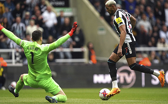 Joelinton z Newcastlu (vpravo) střílí gól brankáři Hugu Llorisovi z Tottenhamu.