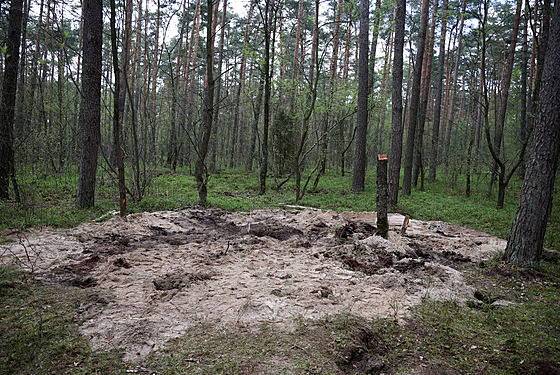 V severním Polsku nedaleko msta Bydho (Bydgoszcz) byly nalezeny zbytky...