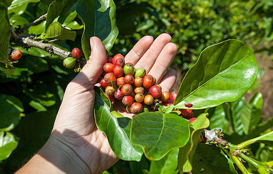 ilustra�ní snímek