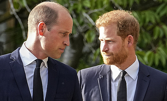 Princ William a princ Harry (Windsor, 10. září 2022)