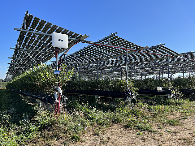 AgroTemelín. Energie z polí by mohla překonat jaderné zdroje