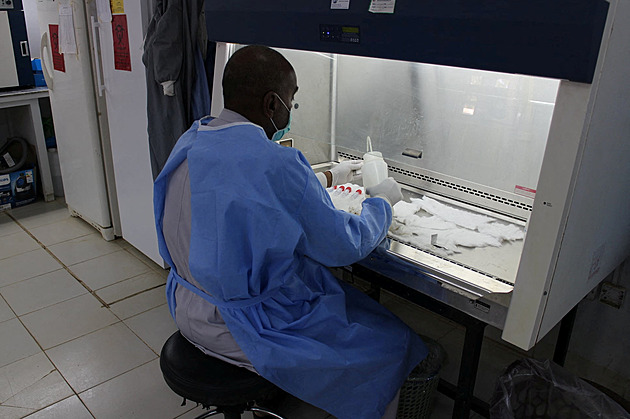 „Obrovské biologické riziko“. Bojovníci v Súdánu obsadili laboratoř s patogeny