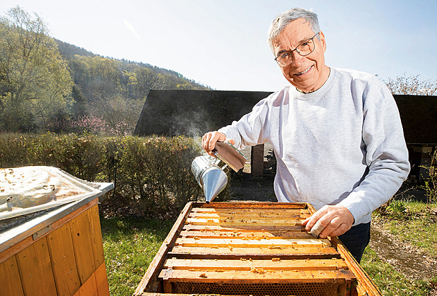 Šílené ztráty na včelstvech? Ani oteplování či chemie, ale chovatelé, říká vědec