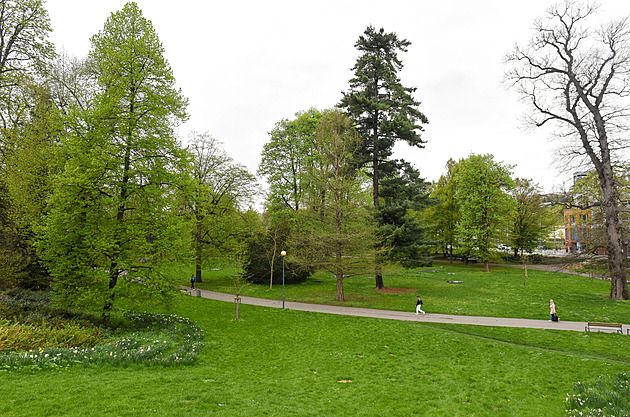 Radnice chce změnit sad Svobody. Obyvatelé se mohou vyjádřit v dotazníku