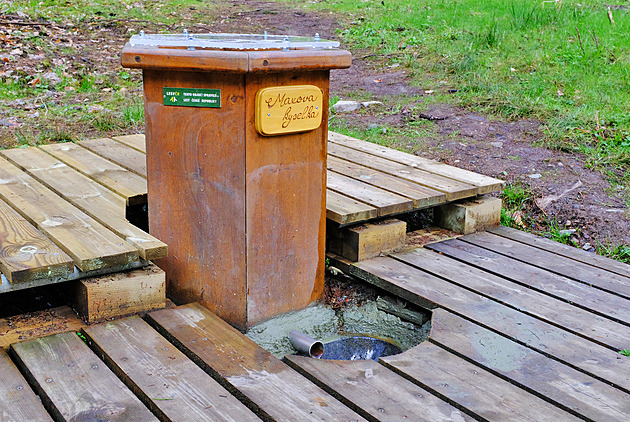 Parta nadšenců objevila zapomenutý pramen, dostal jméno Maxova kyselka