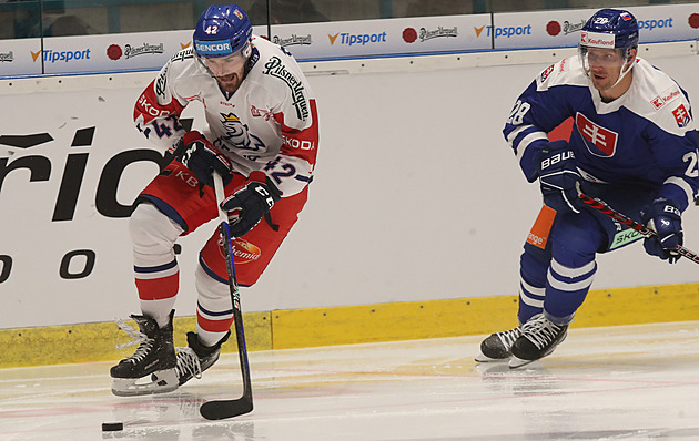 Sezona byla krátká, mám velkou chuť hrát, říká hokejový obránce Kempný