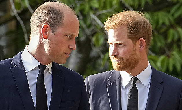 Princ William urovnal s vydavatelem bulváru spor o odposleších, tvrdí Harry