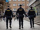 Policie i strnci poslili hldky v lokalit v okol stanice metra Andl v...