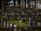 blick hbitov v Praze (19. dubna 2023)