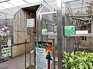 Zoo v Boovicích na Vykovsku chová 58 druh papouk, mezi nimi i nkolik...