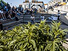 Na festivalu Konopex byly k dost�n� jak rostliny a v�robky z konop�, tak i...