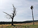 Parta nadenc u od roku 2016 pi pravidelnch brigdch oivuje zaniklou...