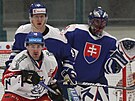 eský hokejista Jakub Flek cloní slovenskému brankái Mateji Tomkovi.
