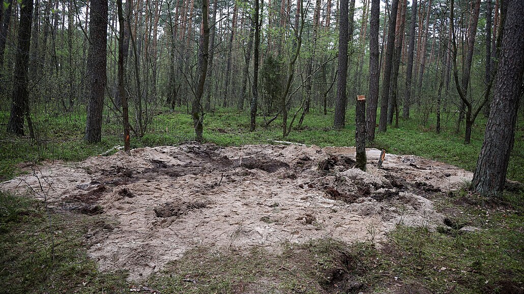 V severním Polsku nedaleko msta Bydho (Bydgoszcz) byly nalezeny zbytky...