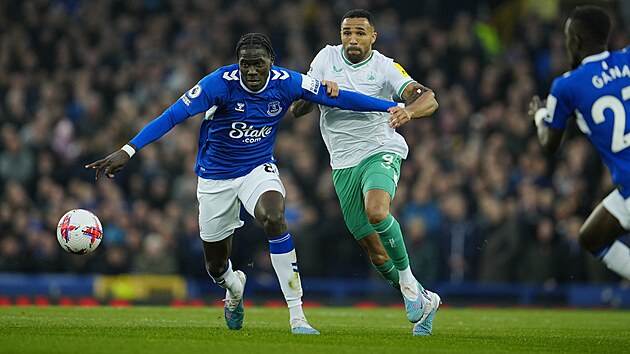 Amadou Onana (vlevo) z Evertonu a Callum Wilson z Newcastlu.