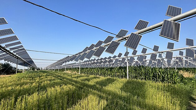 Agrofotovoltaiku u� maj� nainstalovanou zem�d�lci v N�mecku, Nizozemsku, Francii nebo It�lii. Velk� z�jem o ni maj� jihomorav�t� p�stitel�.
