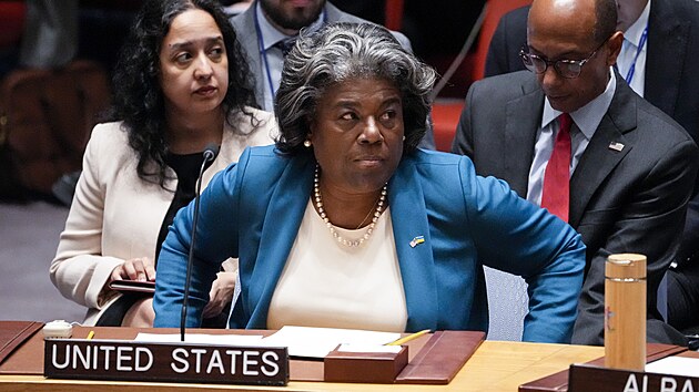 Linda Thomasov-Greenfieldov, velvyslankyn Spojench stt pi OSN, bhem zasedn Rady bezpenosti OSN. (24. ledna 2023)