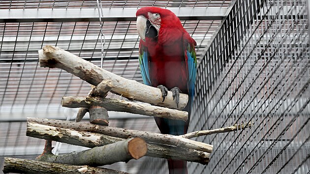 Do papou zoo v Boovicch na Vykovsku ron zavt a 50 tisc nvtvnk. Obdivovat mohou 350 opeenc.