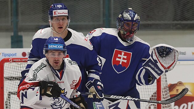 esk hokejista Jakub Flek clon slovenskmu branki Mateji Tomkovi.