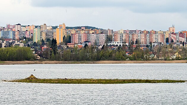 Hladina Velk�ho Boleveck�ho rybn�ka v Plzni pomalu stoup� d�ky um�l�mu dopou�t�n� z Berounky. Voda u� zaplavuje ostr�vek uprost�ed rybn�ka a tak� n�letov� d�eviny uchycen� na b�ez�ch, kter� byly l�ta bez vody. (25. 4. 2023)