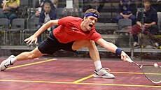 eský reprezentant Martin vec na mistrovství Evropy ve squashi v Helsinkách...