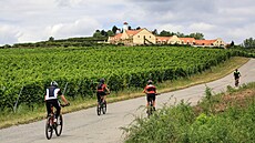 Turisté vyhledávají například cesty na kolech kolem Zaječí na Břeclavsku.